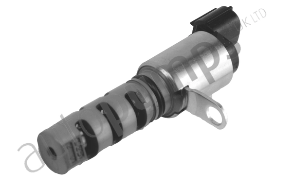 AVVTS1081