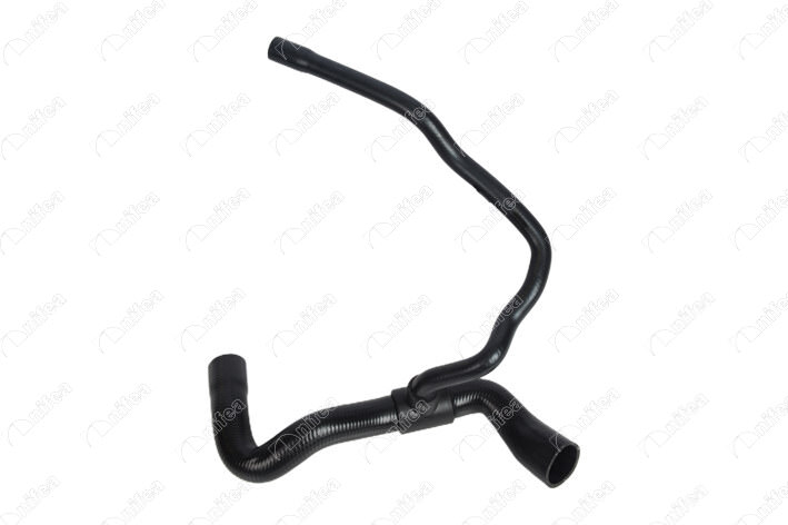 21354