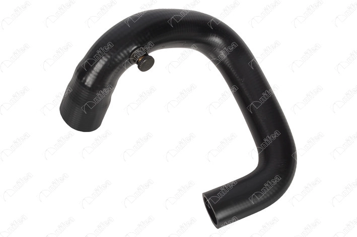 7700651584