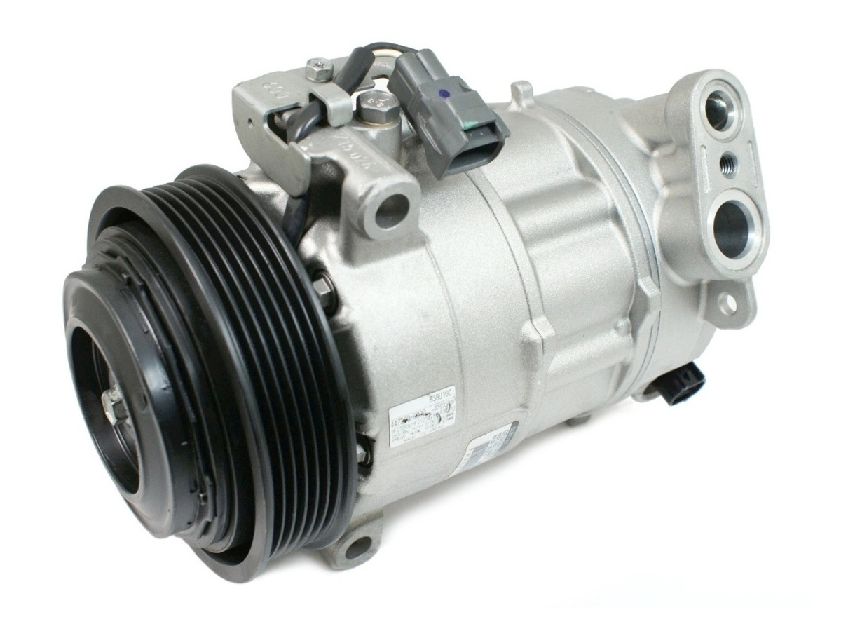 EKL39994