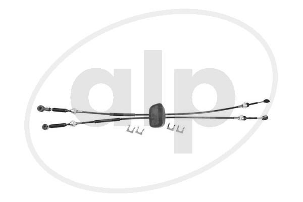ALP-004555