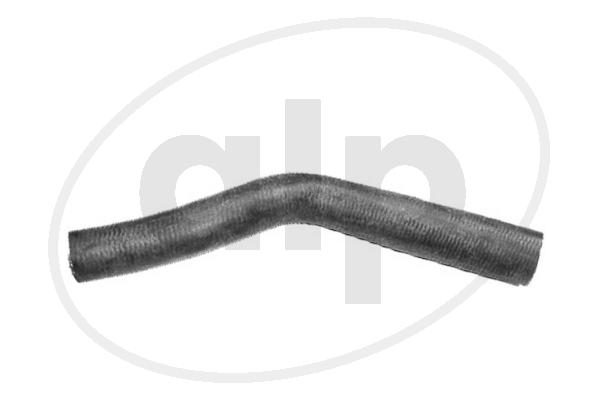 ALP-003934