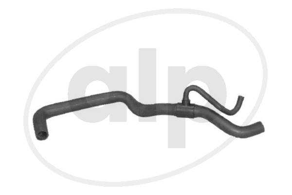 ALP-003811