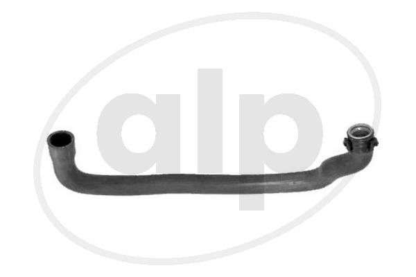 ALP-003833