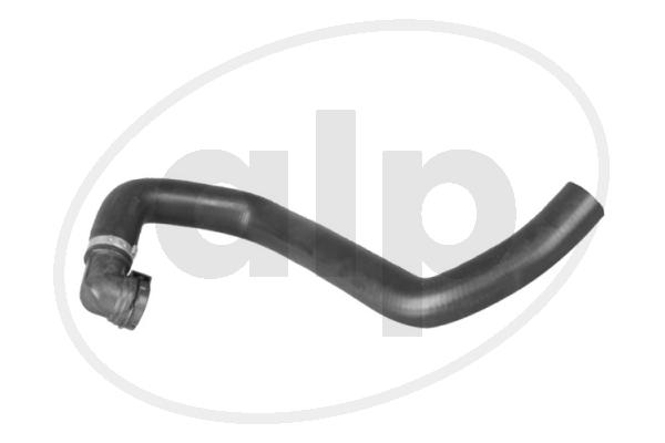ALP-004335