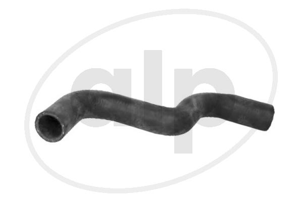 ALP-004356