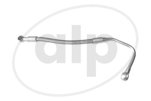 ALP-004895