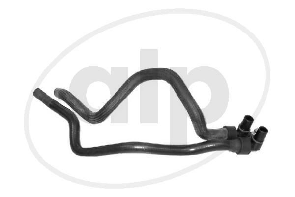 ALP-003871