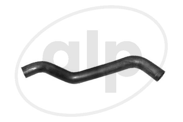 ALP-003966