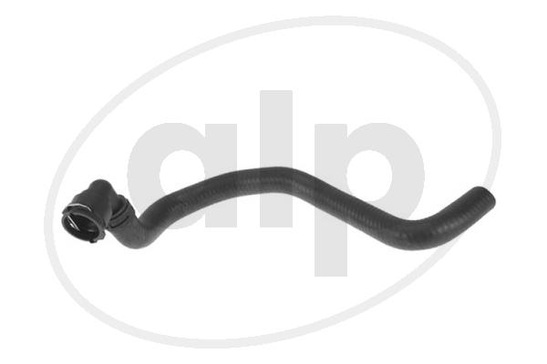 ALP-004300