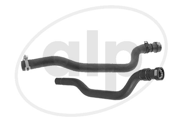 ALP-004262