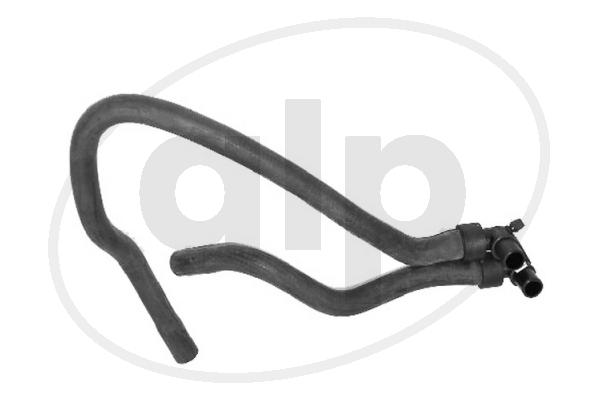 ALP-003861