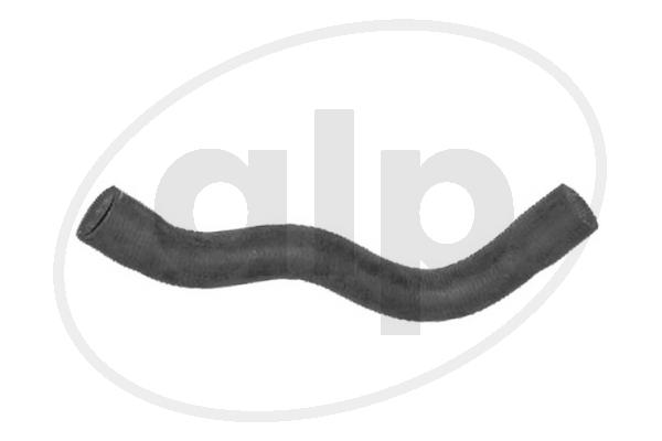 ALP-003819
