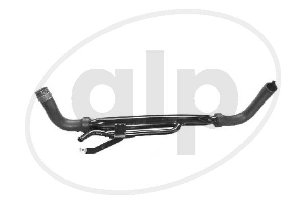 ALP-003842