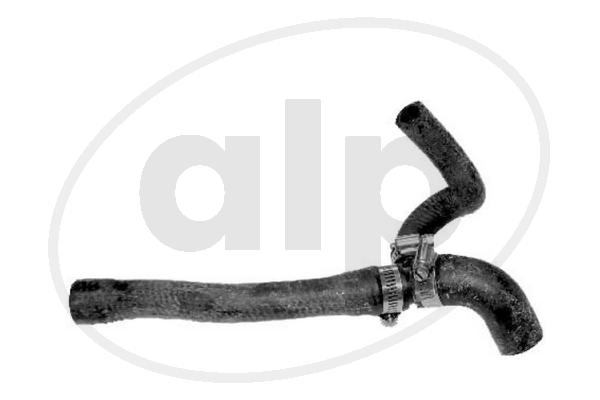 ALP-003981