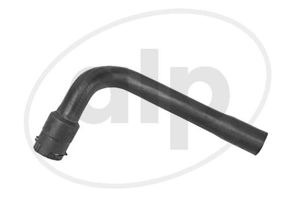 ALP-004310
