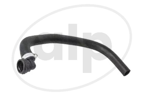 ALP-004173