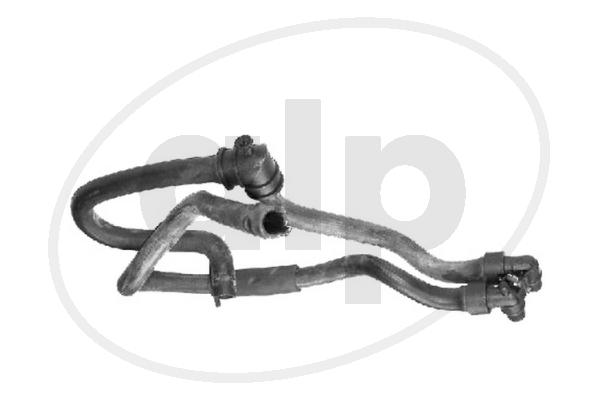 ALP-003881