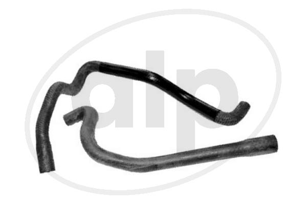 ALP-004020