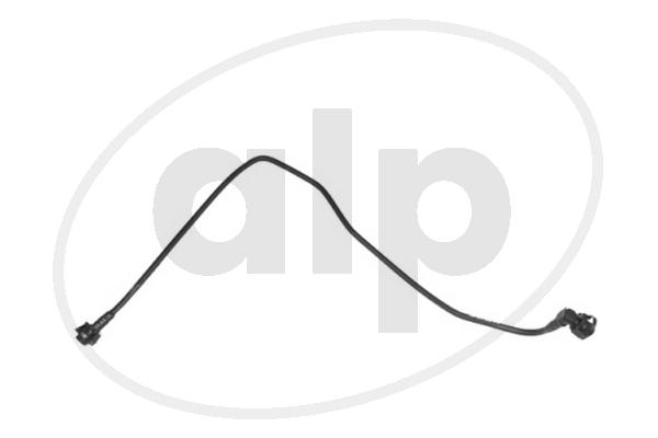 ALP-005612