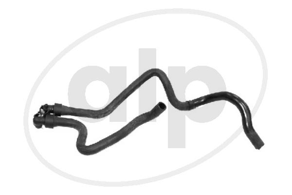 ALP-003884