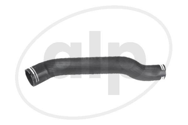 ALP-004408