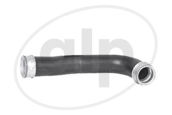 ALP-004387