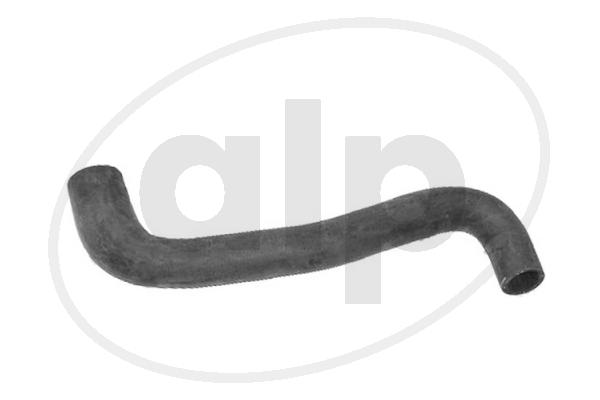 ALP-003873