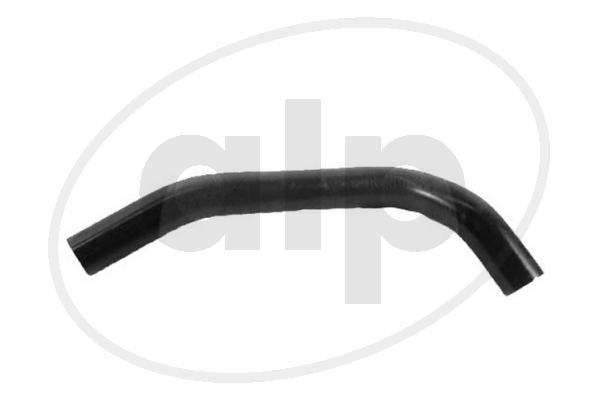 ALP-006685