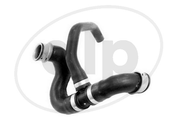ALP-005731
