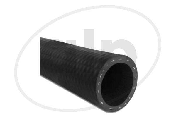 ALP-004055