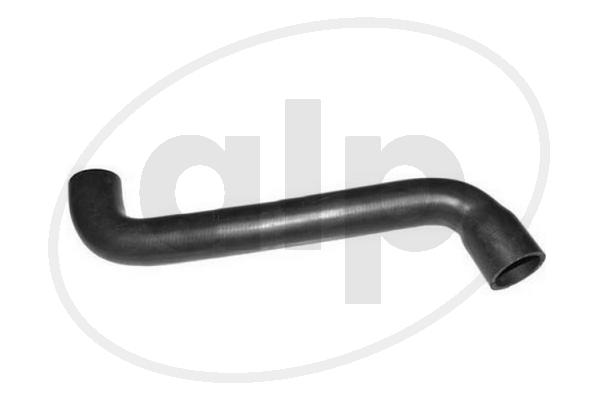 ALP-007313