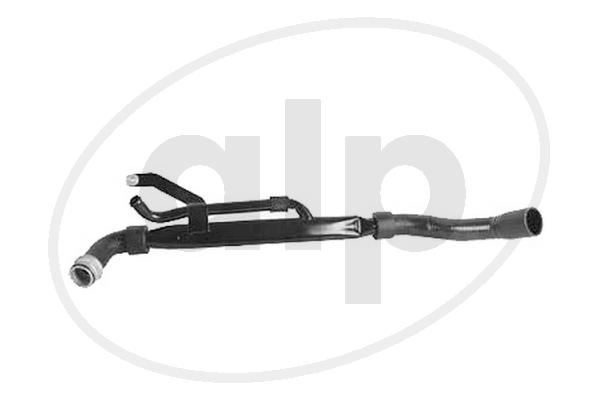 ALP-003845