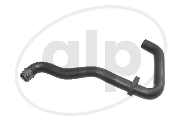 ALP-003856