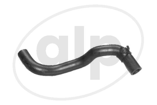 ALP-003911