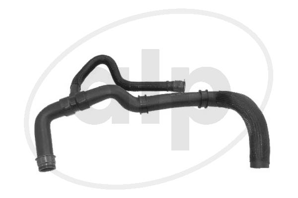 ALP-003862