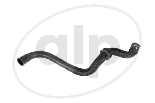 ALP-007666