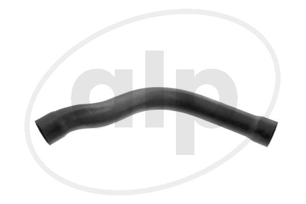 ALP-004446