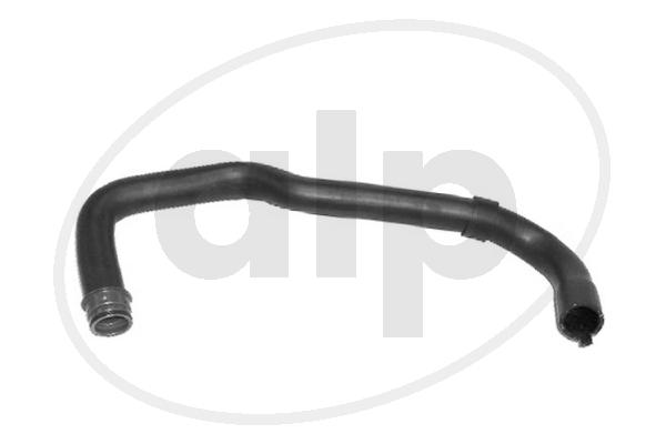 ALP-003860