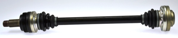 304664