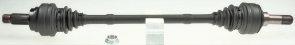 306249