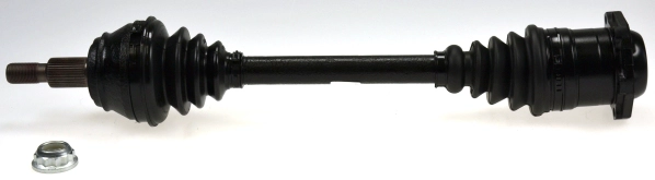 304353