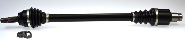 304593