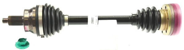 305851