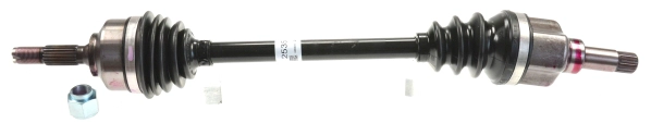 305576