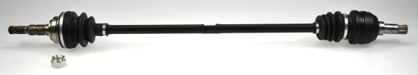 304415
