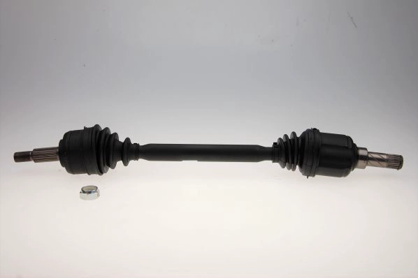 306738