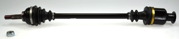 304510