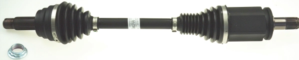 306299