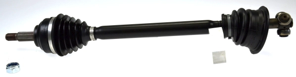 302904